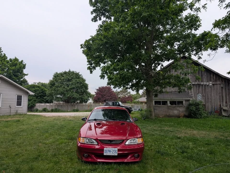 1996 Ford SN95 Mustang - Image 6 of 8