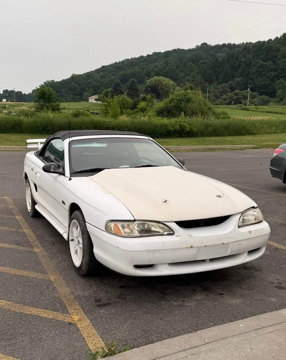 1996 Ford SN95 Mustang - Image 9 of 9