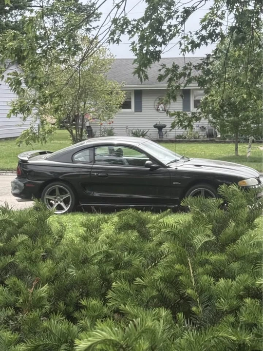 1996 Ford SN95 Mustang - Image 4 of 14