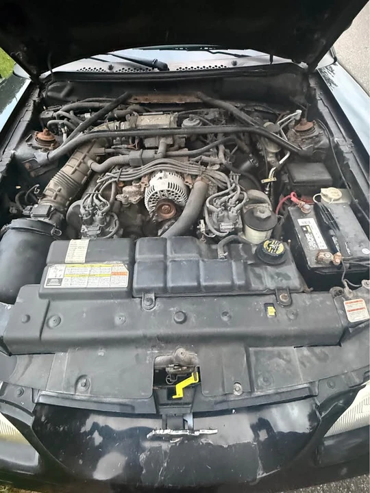 1996 Ford SN95 Mustang - Image 8 of 13