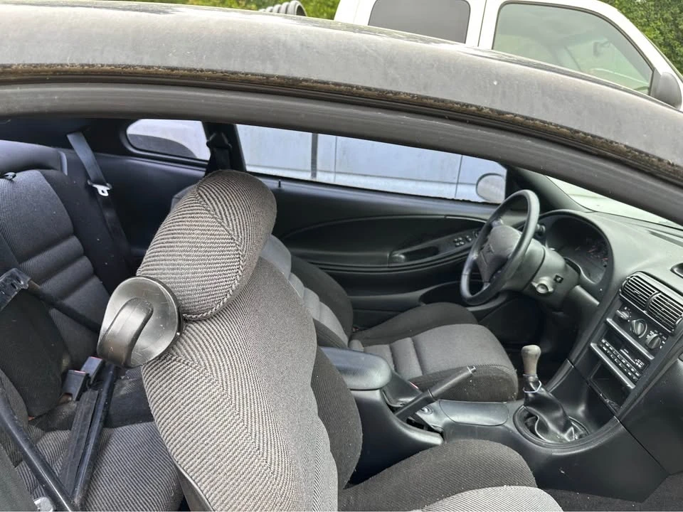 1996 Ford SN95 Mustang - Image 2 of 2