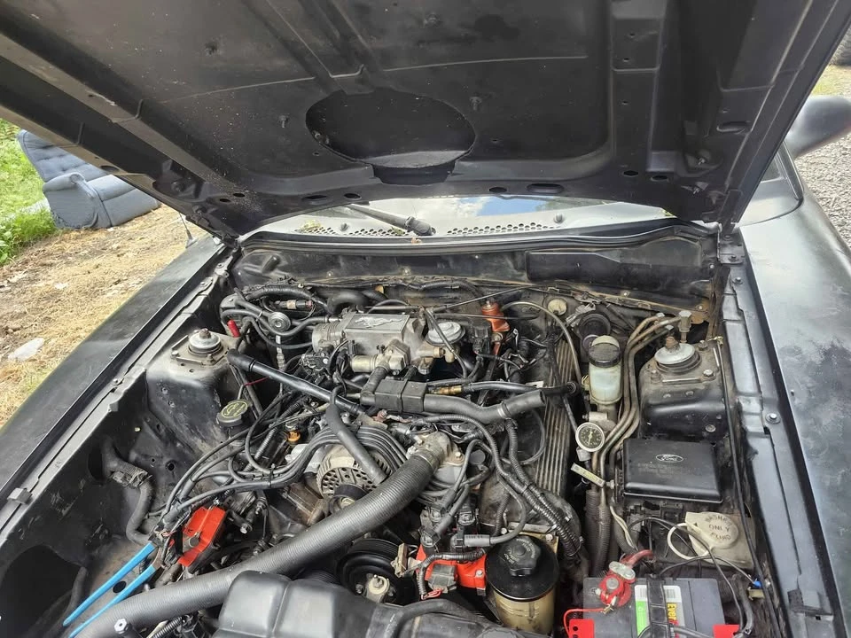 1996 Ford SN95 Mustang - Image 4 of 5