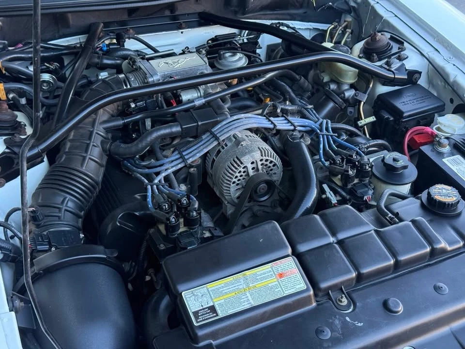 1996 Ford SN95 Mustang - Image 12 of 20