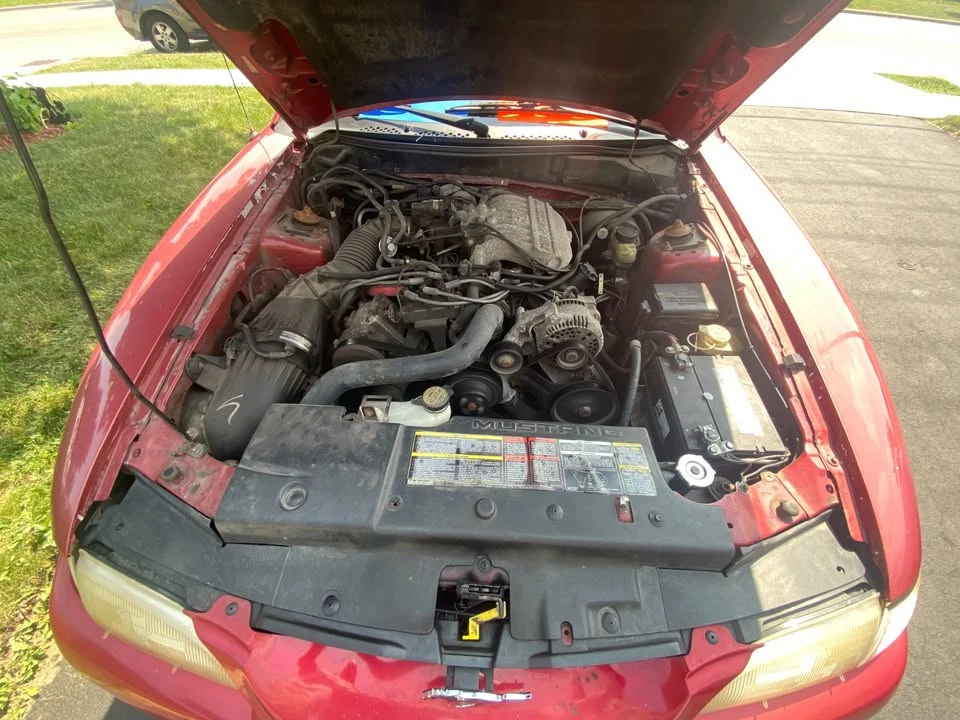 1996 Ford SN95 Mustang - Image 12 of 13