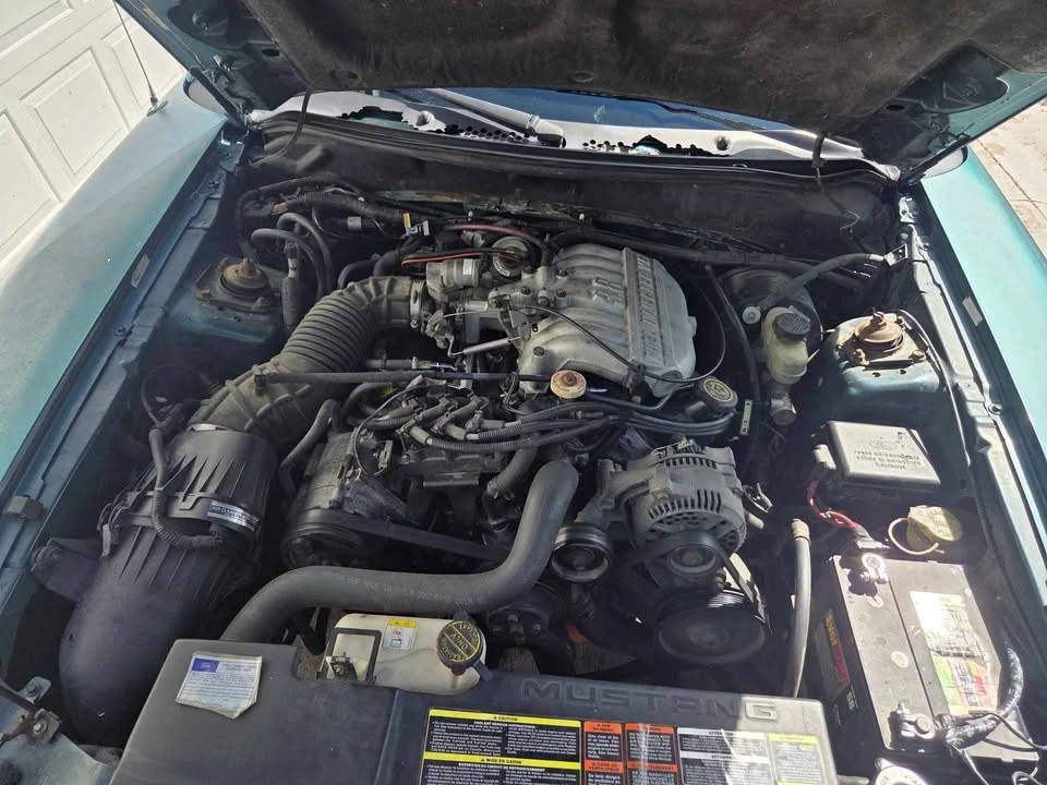 1996 Ford SN95 Mustang - Image 13 of 13