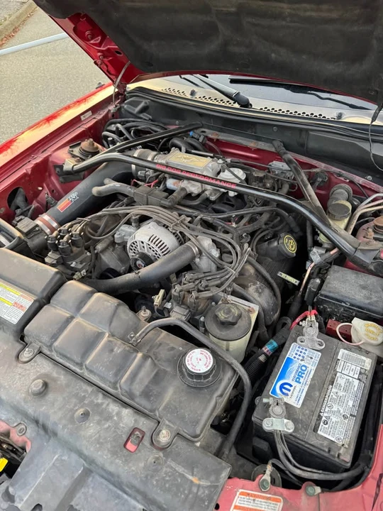 1996 Ford SN95 Mustang - Image 11 of 13