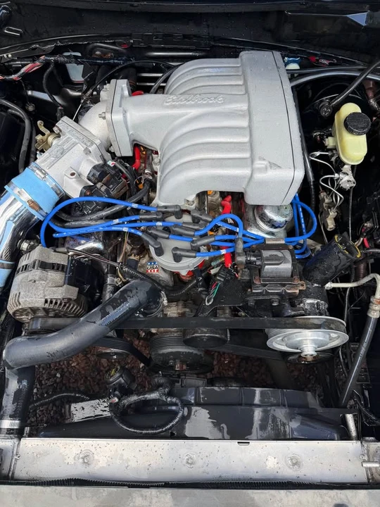 1996 Ford SN95 Mustang - Image 5 of 6