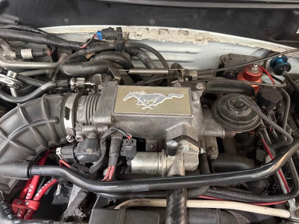 1996 Ford SN95 Mustang - Image 12 of 15