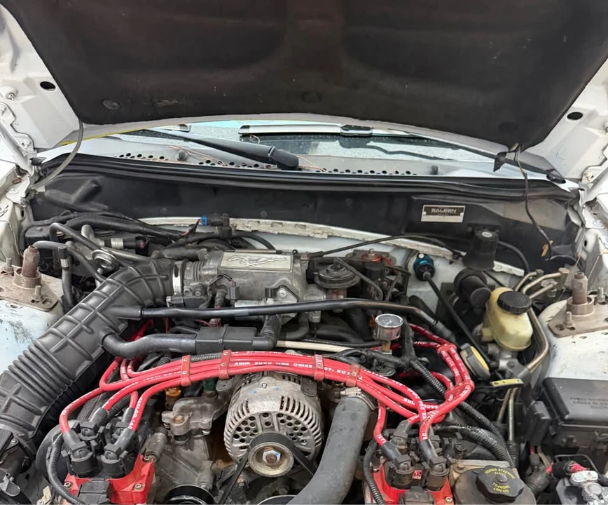 1996 Ford SN95 Mustang - Image 8 of 15