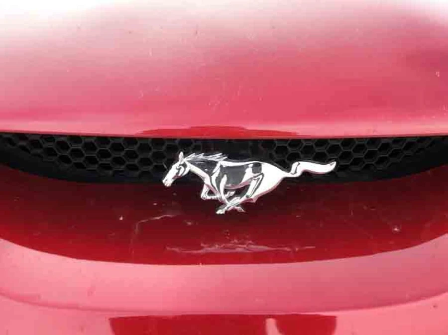 1996 Ford SN95 Mustang Cobra - Image 3 of 16