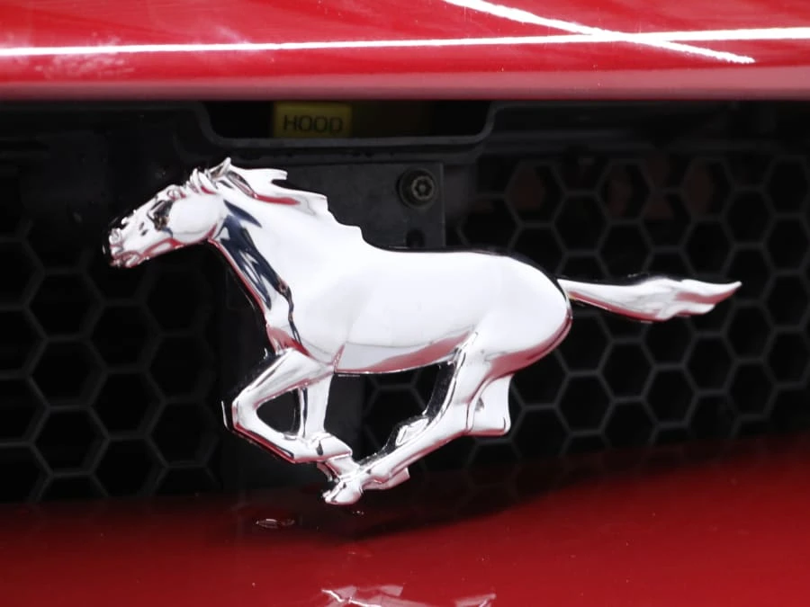 1996 Ford SN95 Mustang Cobra - Image 11 of 31