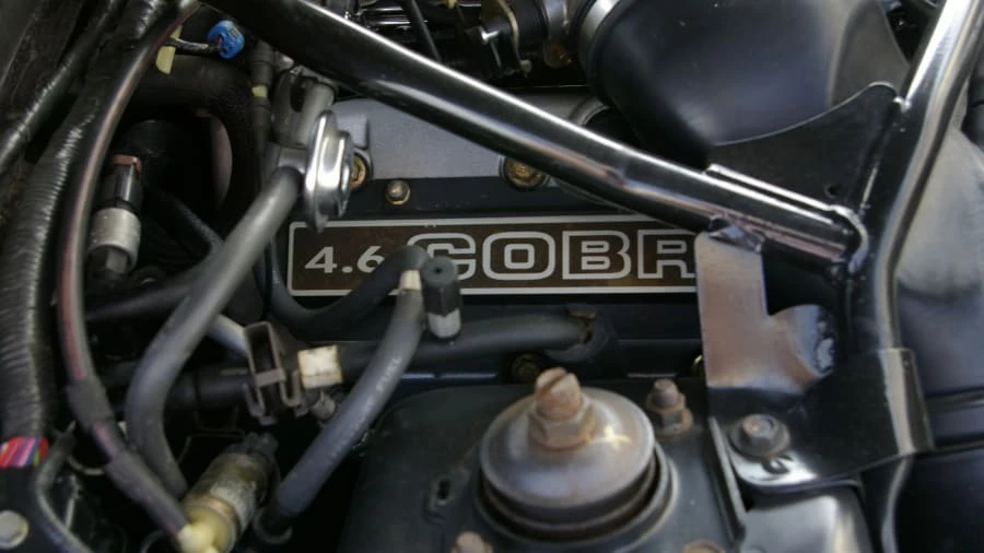 1996 Ford SN95 Mustang Cobra - Image 7 of 9