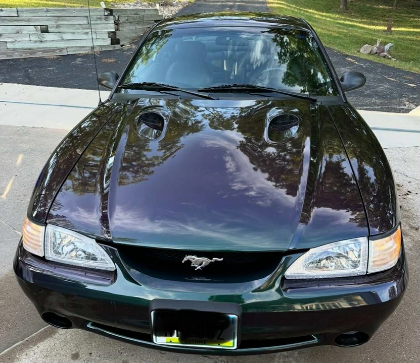 1996 Ford SN95 Mustang Cobra - Image 4 of 11