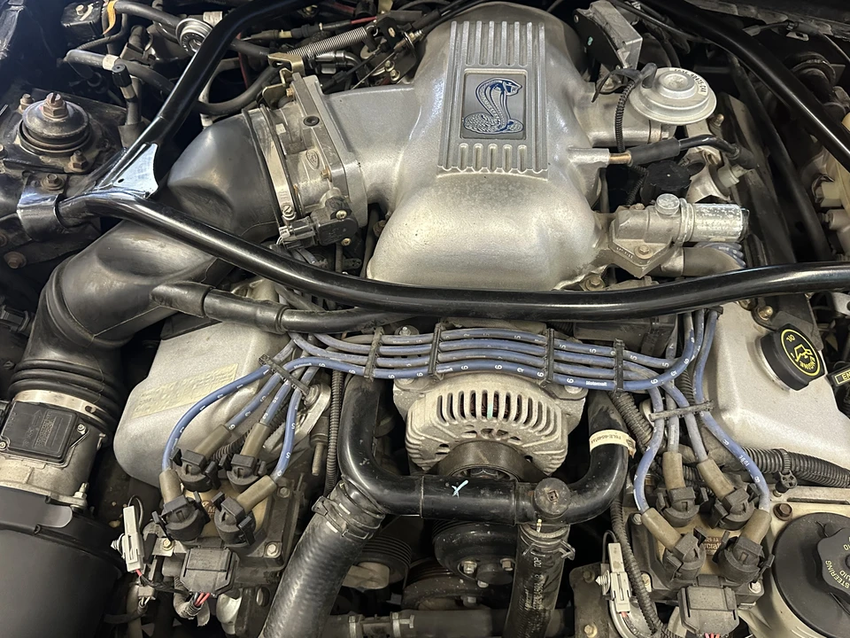 1996 Ford SN95 Mustang Cobra - Image 8 of 11