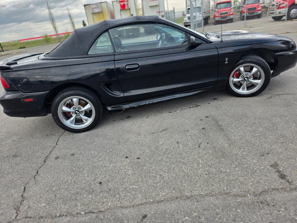 1996 Ford SN95 Mustang Cobra - Image 7 of 17
