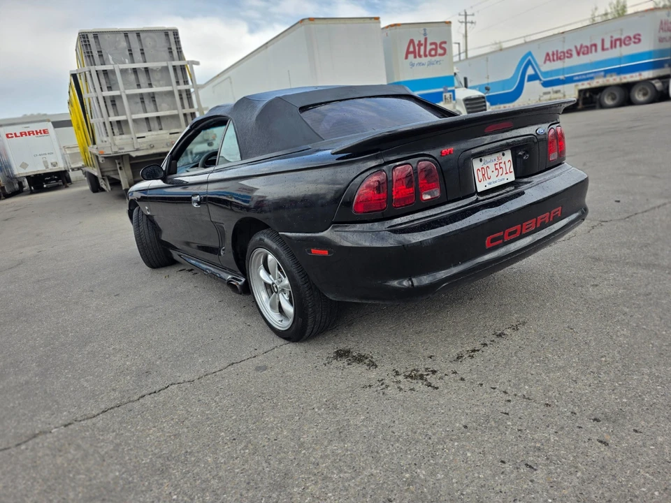 1996 Ford SN95 Mustang Cobra - Image 2 of 17