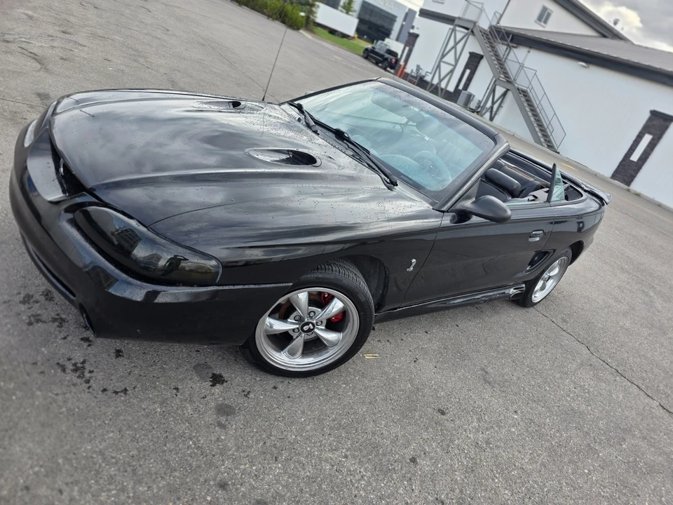 1996 Ford SN95 Mustang Cobra - Image 11 of 17