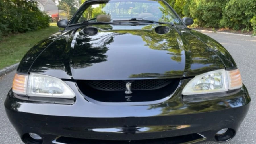 1996 Ford SN95 Mustang Cobra - Image 18 of 31