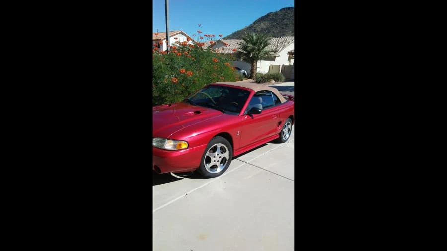 1996 Ford SN95 Mustang Cobra - Image 6 of 9