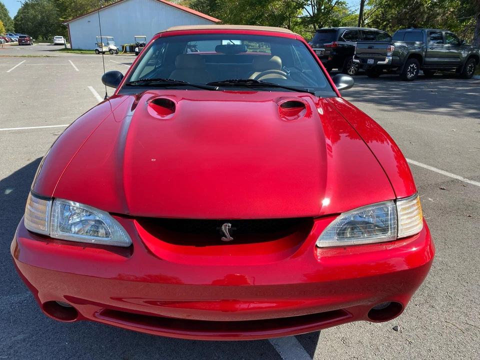 1996 Ford SN95 Mustang Cobra - Image 6 of 31