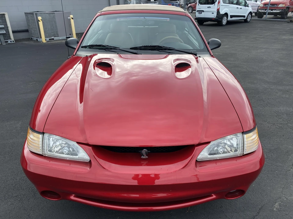 1996 Ford SN95 Mustang Cobra - Image 7 of 31