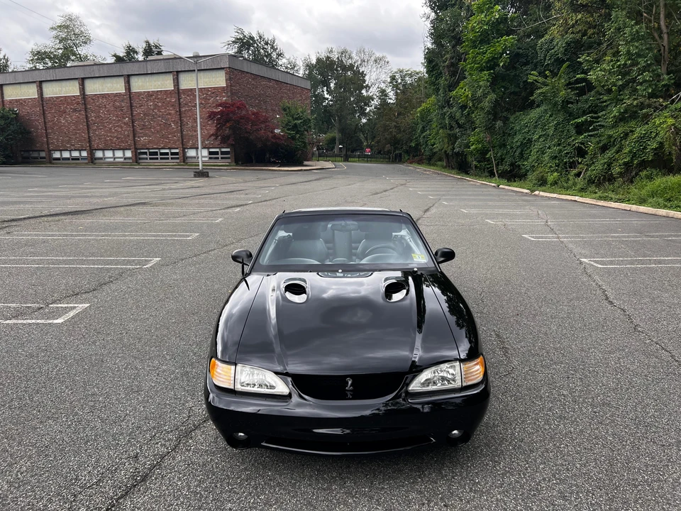 1996 Ford SN95 Mustang Cobra - Image 6 of 31
