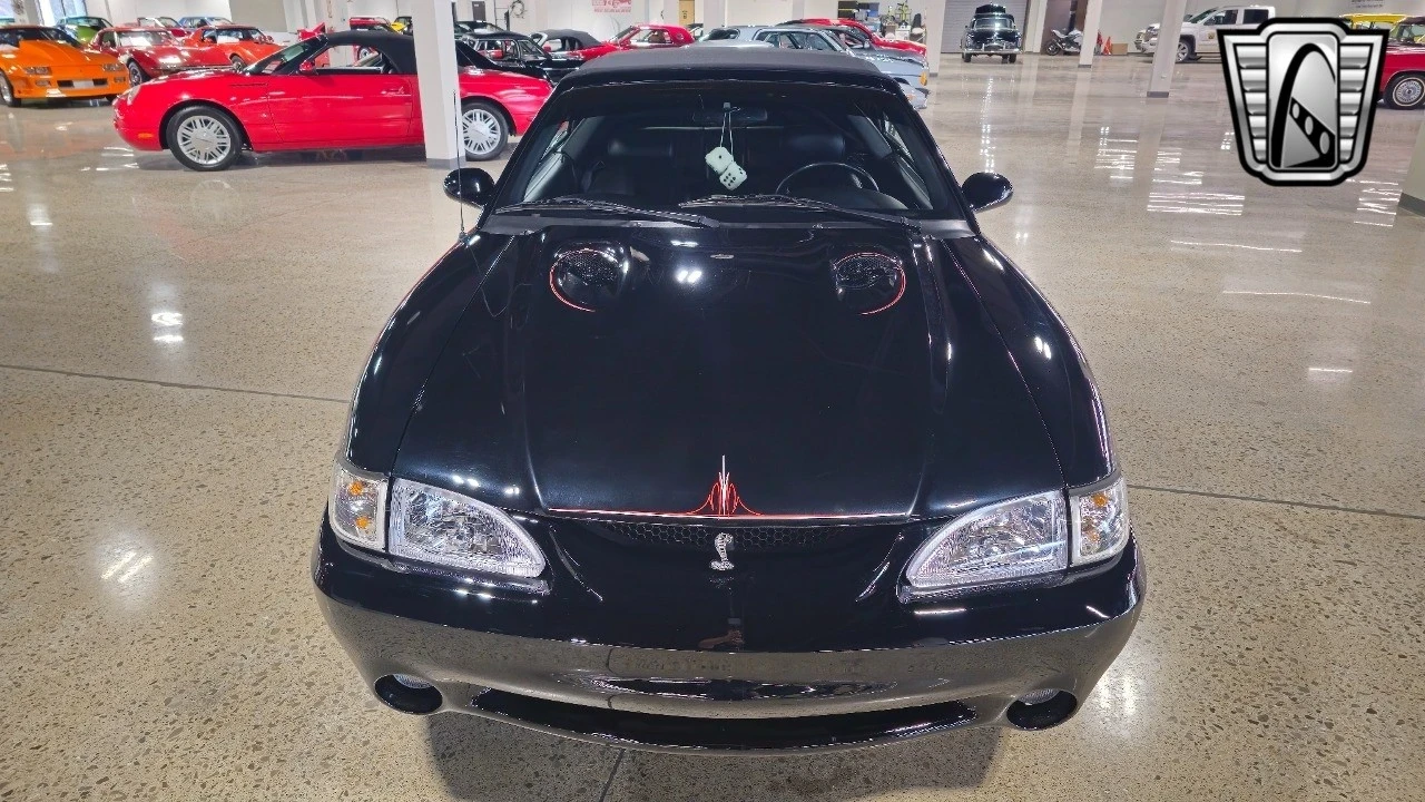1996 Ford SN95 Mustang Cobra - Image 8 of 12