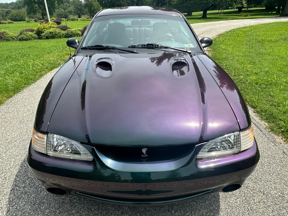 1996 Ford SN95 Mustang Cobra - Image 6 of 31