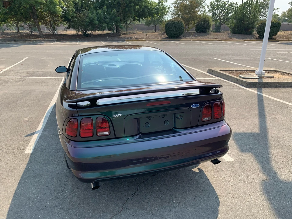 1996 Ford SN95 Mustang Cobra - Image 12 of 31