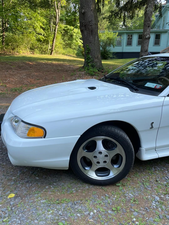 1996 Ford SN95 Mustang Cobra - Image 19 of 31