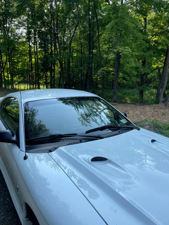 1996 Ford SN95 Mustang Cobra - Image 18 of 31