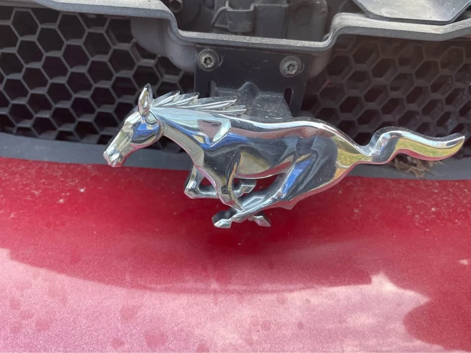 1996 Ford SN95 Mustang Cobra - Image 6 of 9