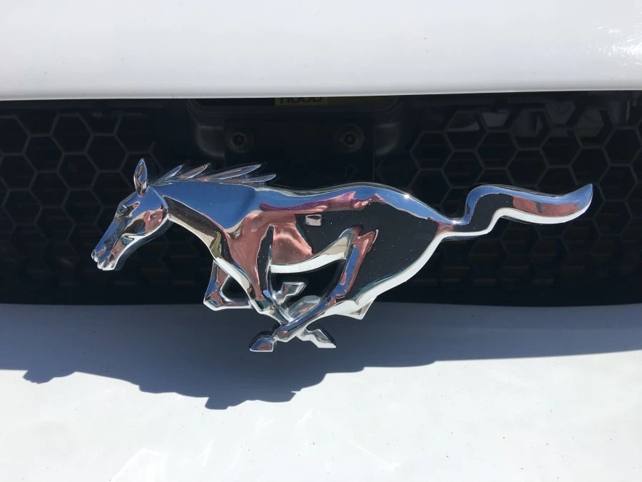 1996 Ford SN95 Mustang - Image 7 of 12