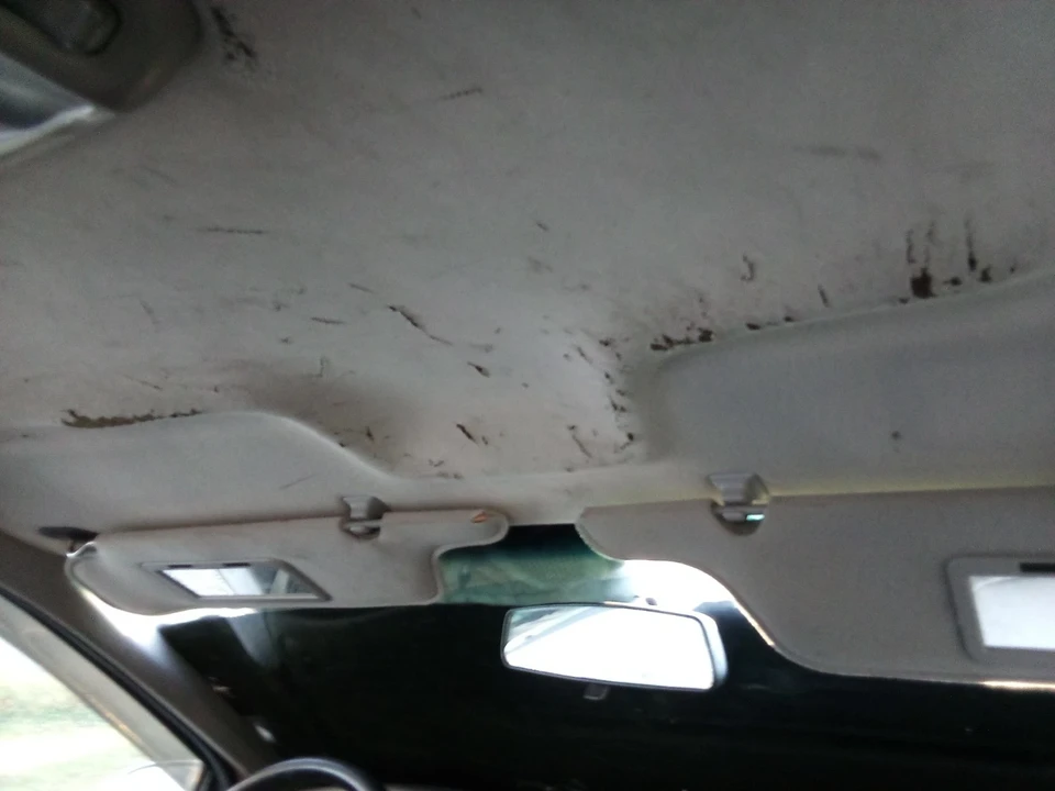 1996 Ford Thunderbird 10th Gen - Image 21 of 21