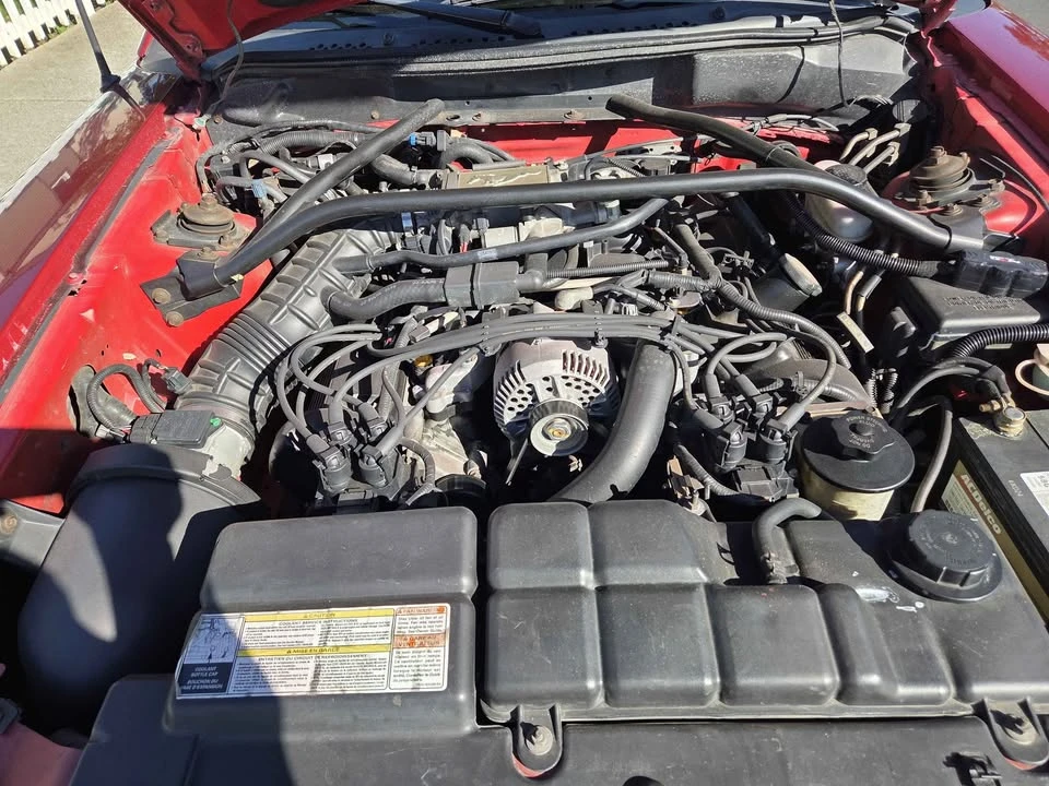 1996 Ford SN95 Mustang - Image 2 of 6