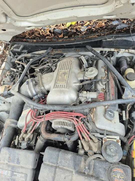 1996 Ford SN95 Mustang - Image 5 of 11