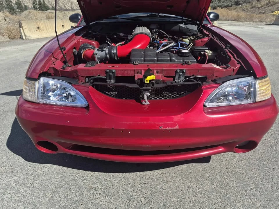 1996 Ford SN95 Mustang - Image 6 of 12