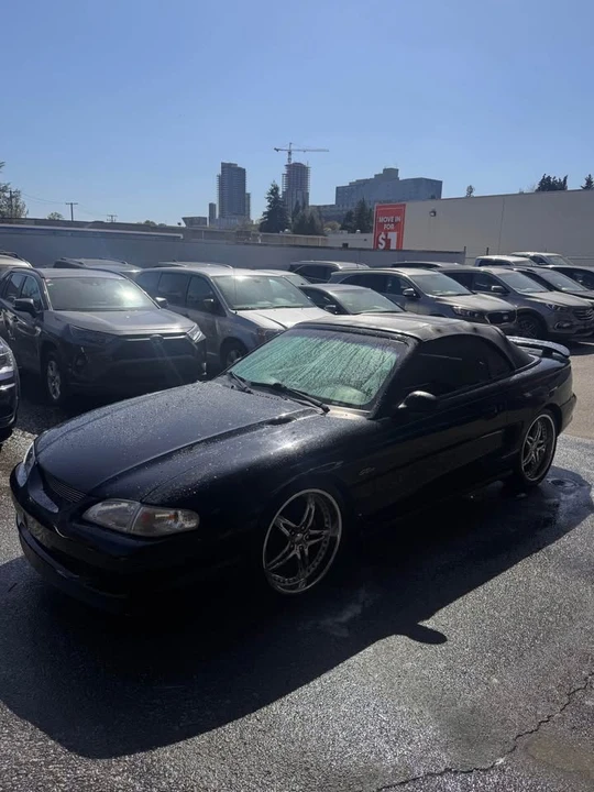 1996 Ford SN95 Mustang - Image 2 of 9