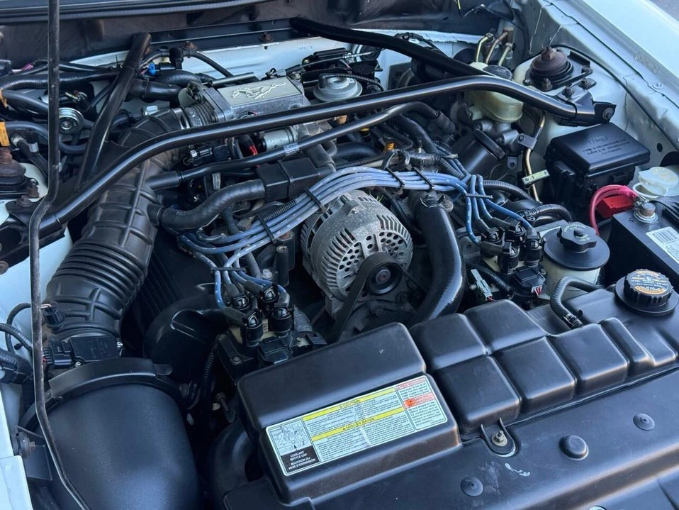 1996 Ford SN95 Mustang - Image 11 of 20