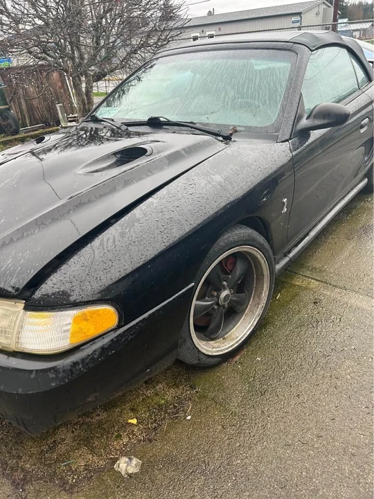 1996 Ford SN95 Mustang Cobra - Image 3 of 7