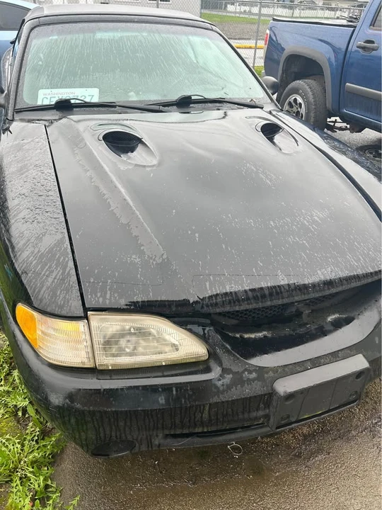 1996 Ford SN95 Mustang Cobra - Image 2 of 7
