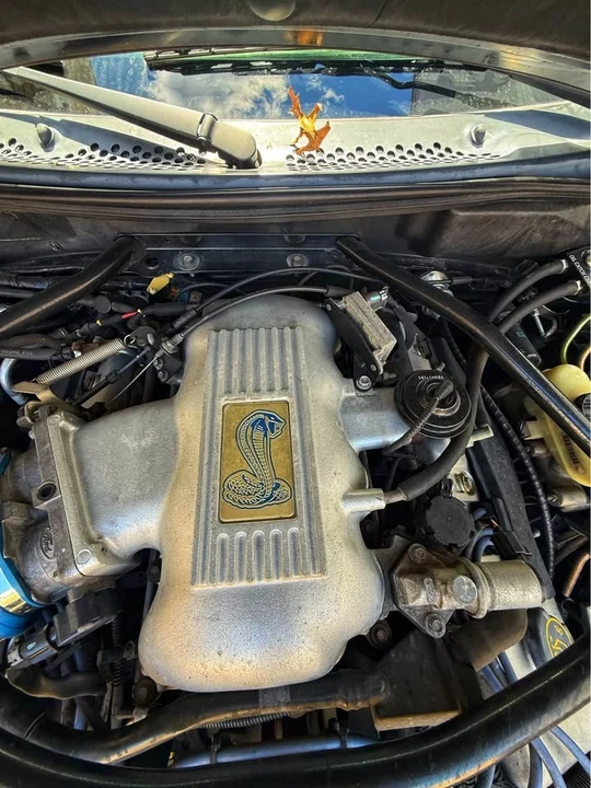 1996 Ford SN95 Mustang Cobra - Image 8 of 9