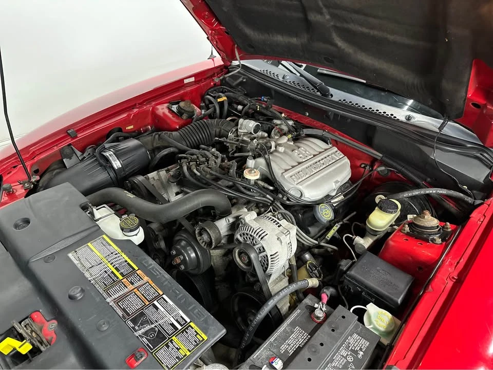 1996 Ford SN95 Mustang - Image 14 of 14