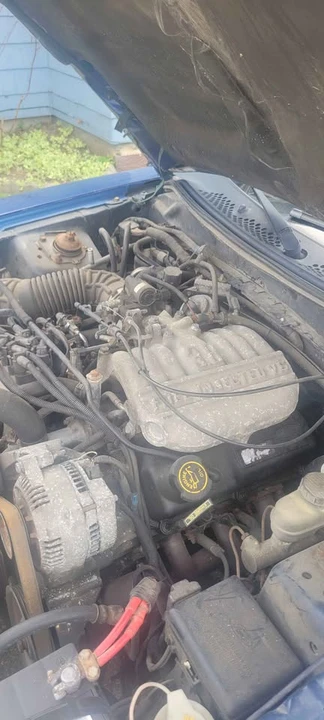 1996 Ford SN95 Mustang - Image 7 of 8
