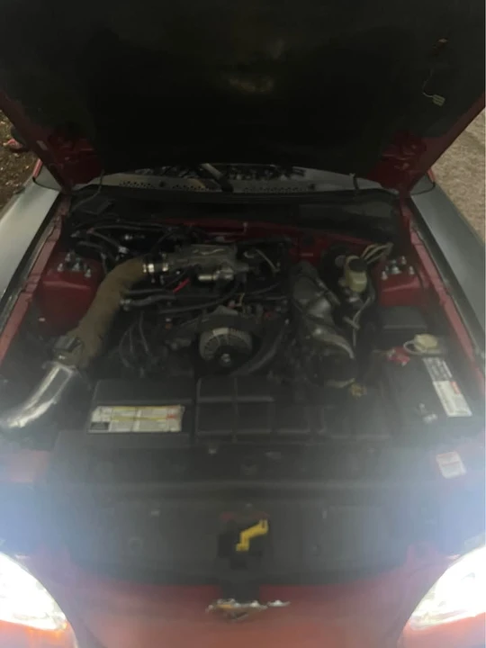 1996 Ford SN95 Mustang - Image 2 of 13