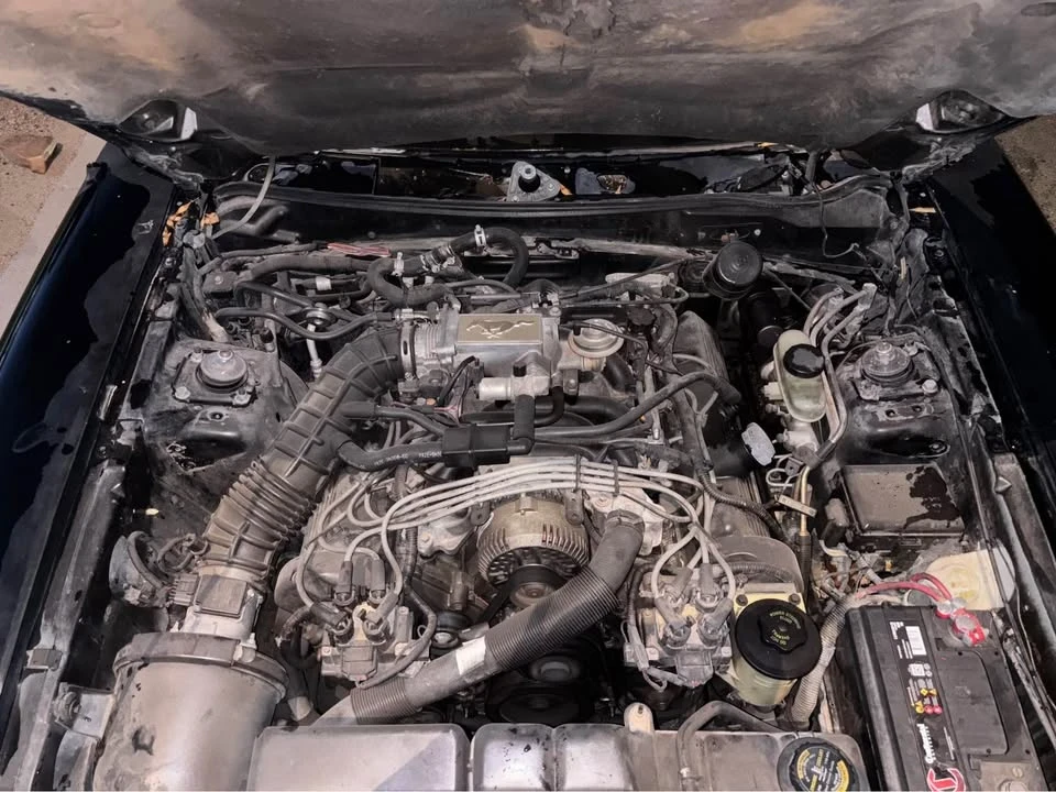 1996 Ford SN95 Mustang - Image 8 of 9