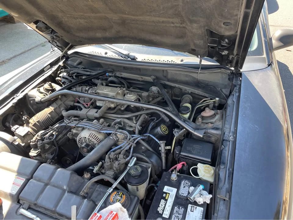 1996 Ford SN95 Mustang - Image 3 of 9