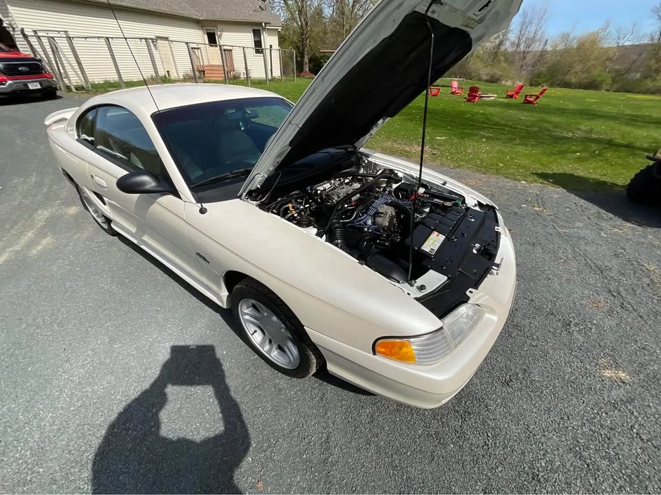 1996 Ford SN95 Mustang - Image 18 of 20