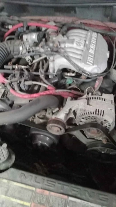 1996 Ford SN95 Mustang - Image 3 of 8