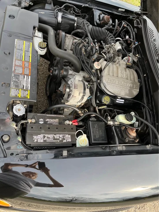 1996 Ford SN95 Mustang - Image 2 of 17